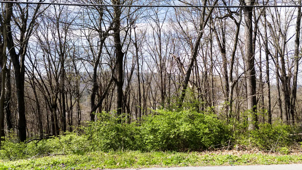 269 Whitehall Road, Chattanooga, TN 37405 - Image #1