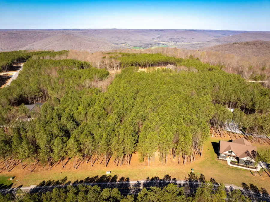 0 Crockett Point #Jf 313, Jasper, TN 37347 - Image #3