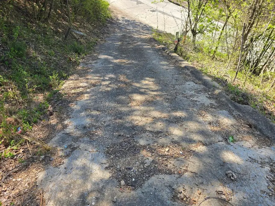 109 Brently Woods Drive, Chattanooga, TN 37421 - Image #2