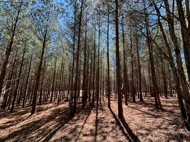 0 Worley Road #Lot 40, Soddy Daisy, TN 37379 - Image #2