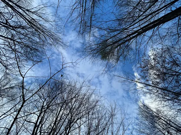 270 Volunteer Street #Jf-370, Jasper, TN 37347