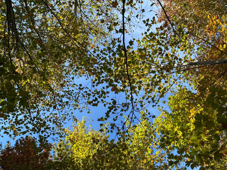 280 Volunteer Street #Jf-370, Jasper, TN 37347 - Image #2