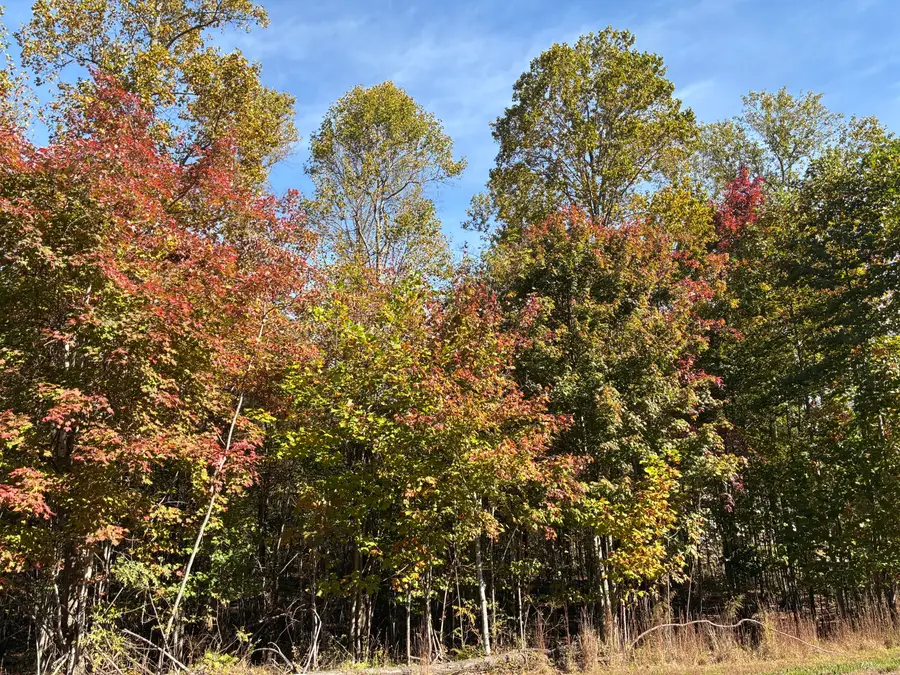 280 Volunteer Street #Jf-370, Jasper, TN 37347 - Image #3