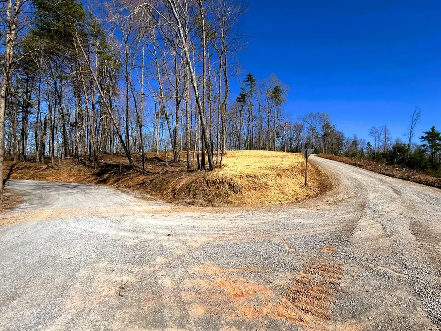 107 Chestnut Road, Reliance, TN 37369 - Image #2