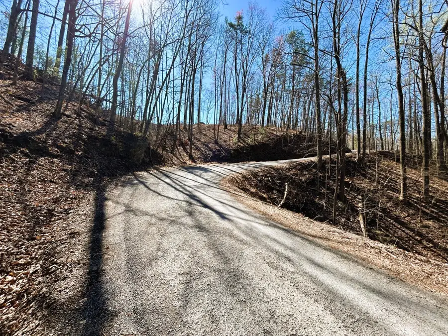 107 Chestnut Road, Reliance, TN 37369 - Image #3