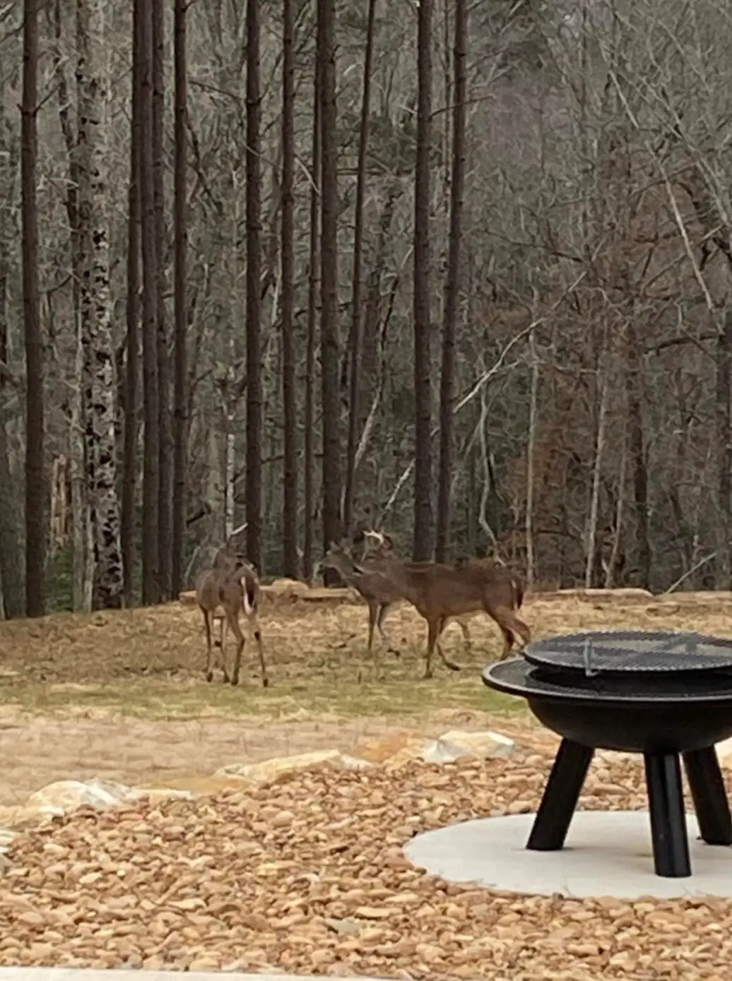 5420 Raulston Falls Road, Jasper, TN 37347 - #1