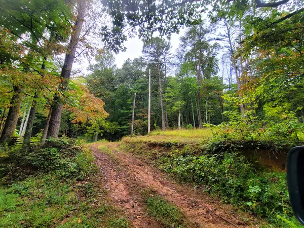 529 Patterson Road, Copperhill, TN 37317