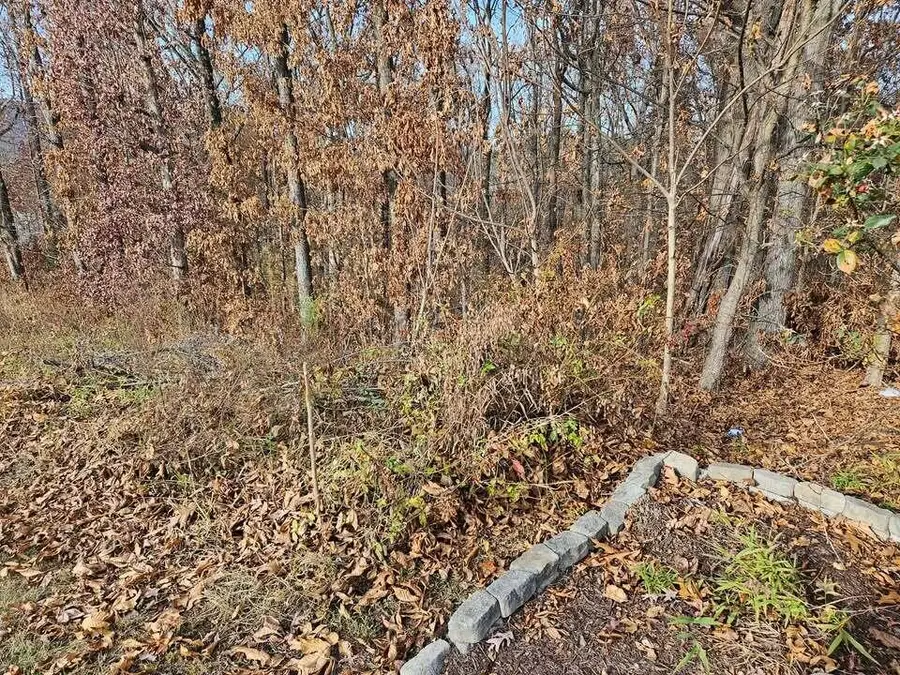 Lts 29/30 Smyrna Heights Road, Evensville, TN 37332 - Image #3