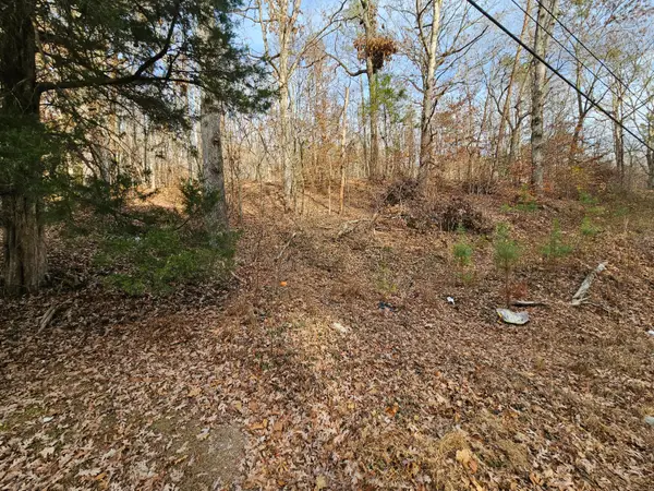 Lot 7 Smyrna Road, Evensville, TN 37332