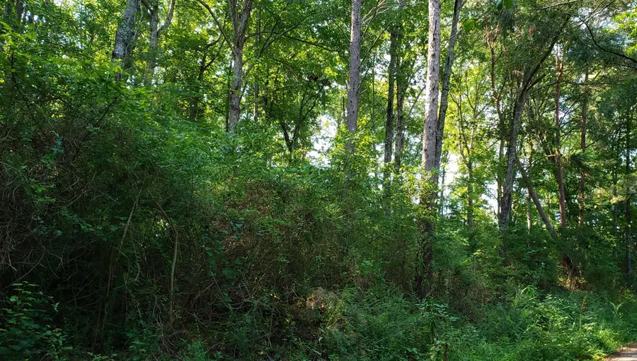 0 Treeline Drive #4, Dunlap, TN 37327 - Image #3