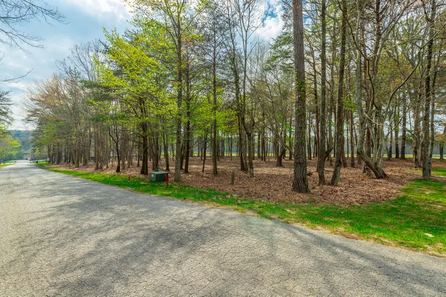 0 Sunshine Tr #Lot 14, Rising Fawn, GA 30738 - Image #3