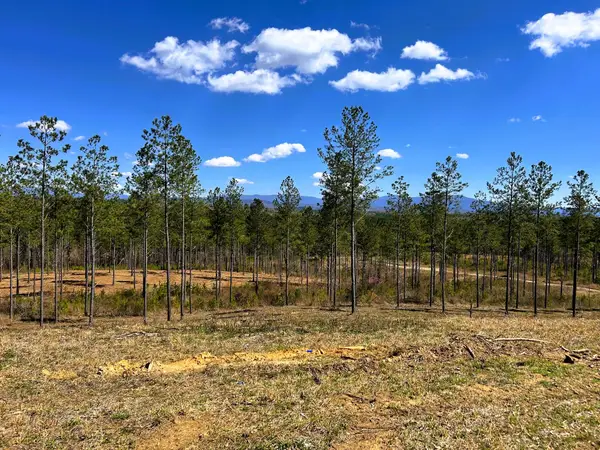 Tract 26a Hughes Lake Road Se, Cleveland, TN 37323