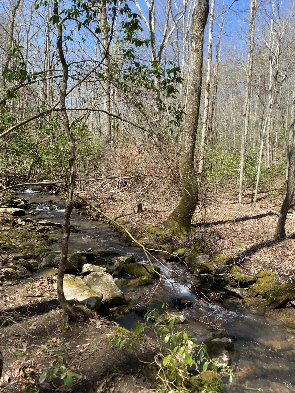 377 Sinclair Lane, Crossville, TN 38572 - Image #1