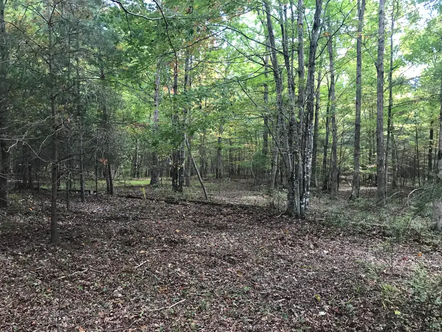 57 Deer Point Drive #57, Dunlap, TN 37327 - Image #2