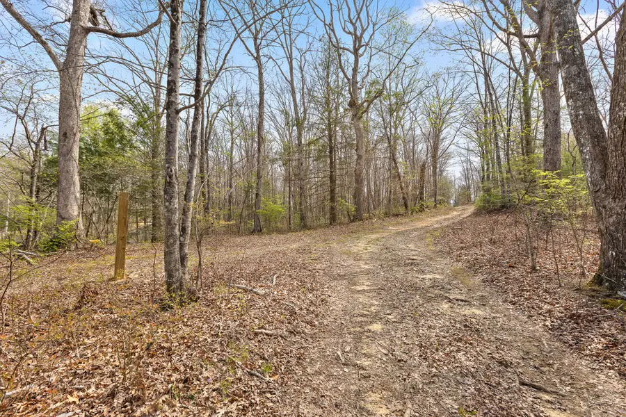 17.65 Blaine Smith Road, Graysville, TN 37338 - Image #2