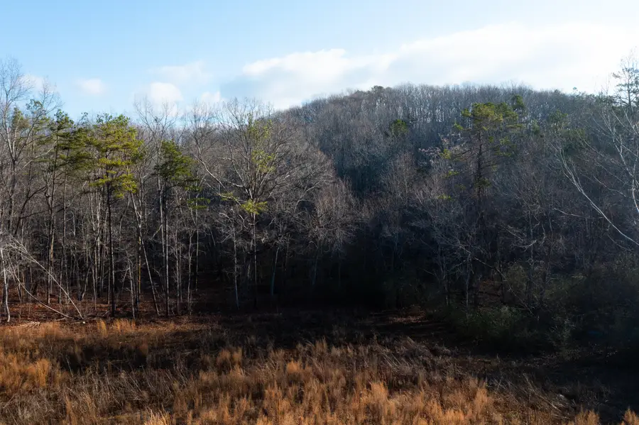 6601 Flagstone Drive, Ooltewah, TN 37363 - Image #3