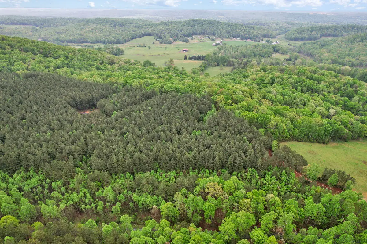 190 Sims Road, Decatur, TN 37322 - Image #1