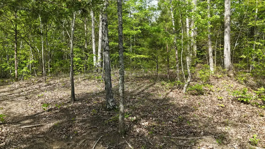 311 Old York Road, Cleveland, TN 37323 - #2