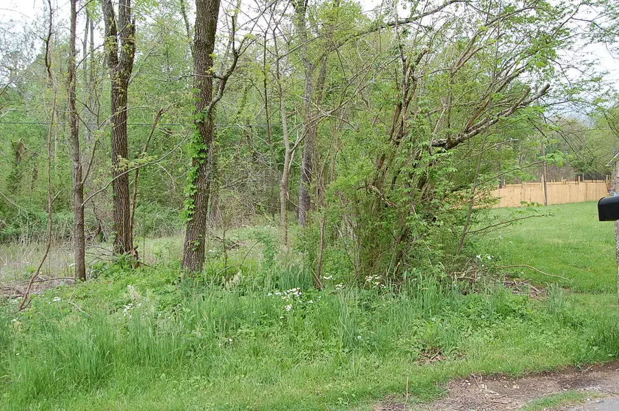 67 51st Avenue, Gruetli Laager, TN 37339 - Image #2