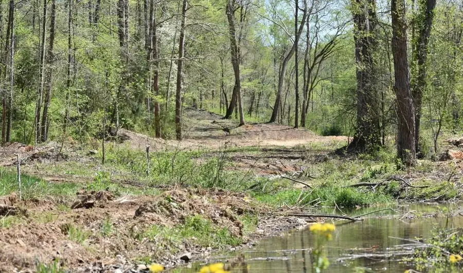 0 Buckner Ridge Road, Bon Aqua, TN 37025 - Image #3