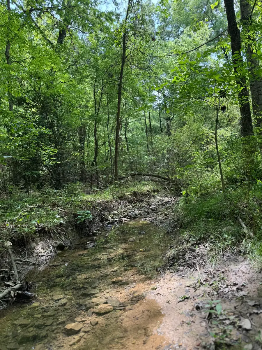 160 Scenic Circle, Ringgold, GA 30736 - Image #3