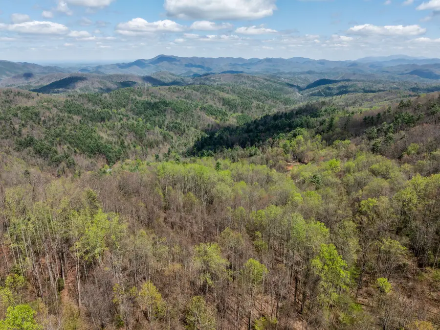 0 Johns Creek Road, Del Rio, TN 37727 - Image #2