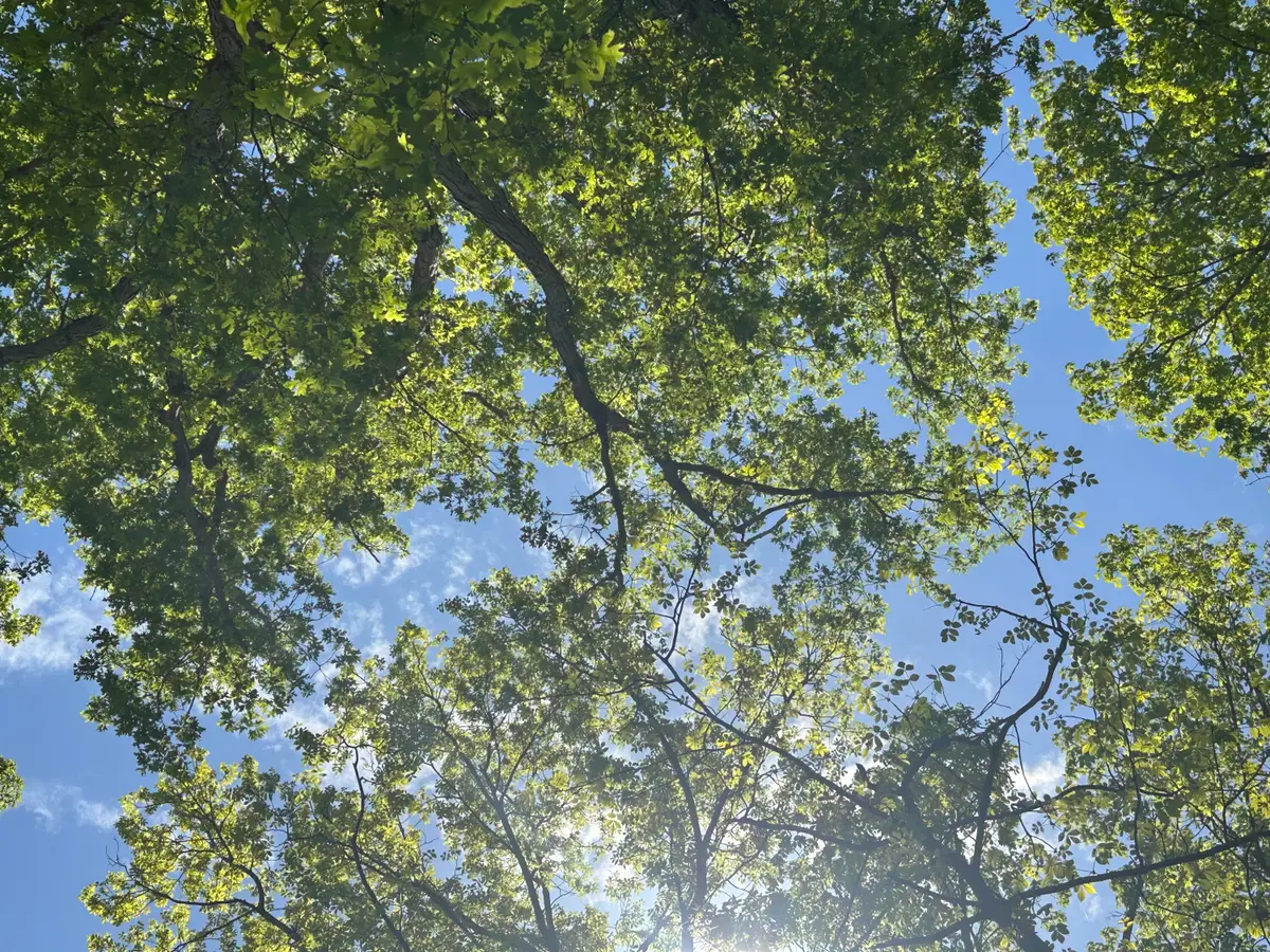 460 Volunteer Street #Jf-362, Jasper, TN 37347 - #1