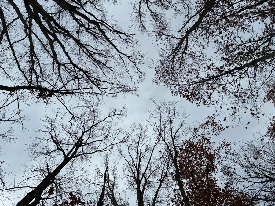 460 Volunteer Street #Jf-362, Jasper, TN 37347 - #2