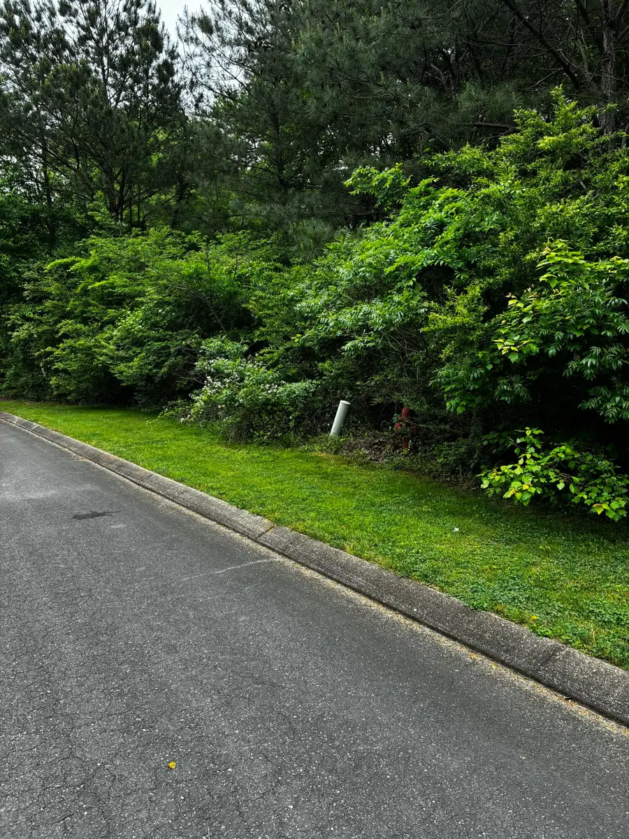 0 Chieselwood Lane, Ooltewah, TN 37363 - Image #3
