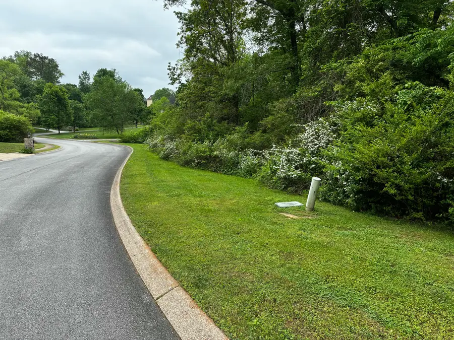 0 Dayflower Drive, Ooltewah, TN 37363 - Image #3