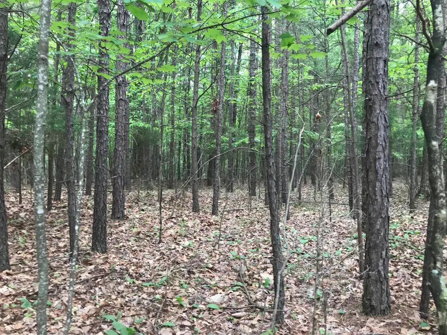 0 Bluffview Drive #26, Dunlap, TN 37327 - Image #2