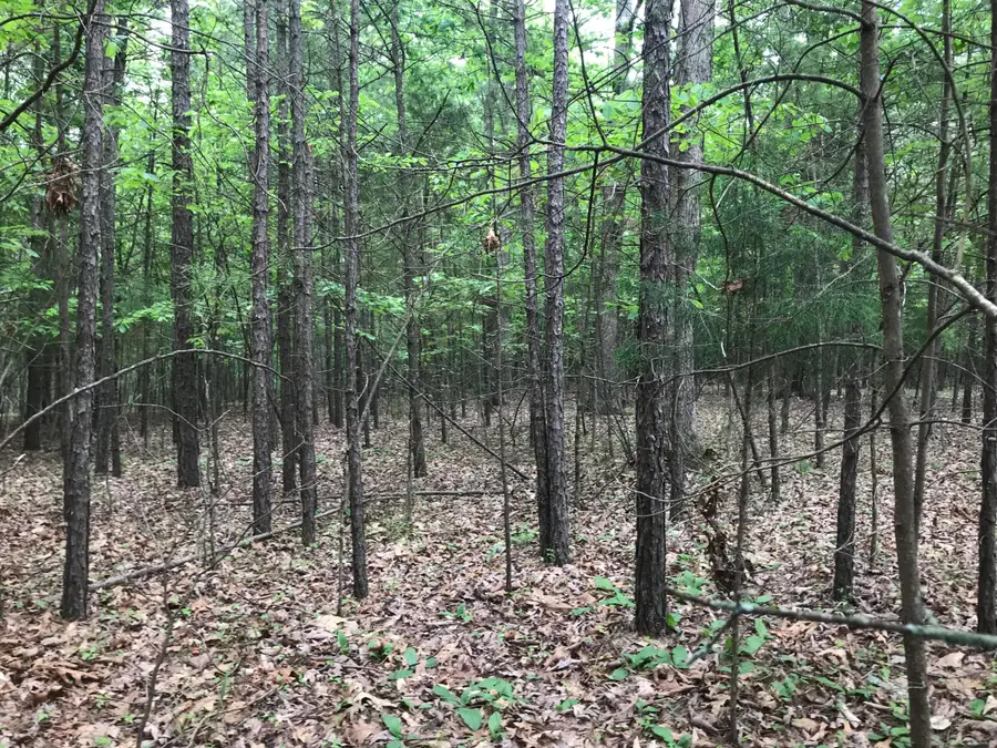 0 Bluffview Drive #26, Dunlap, TN 37327 - Image #3