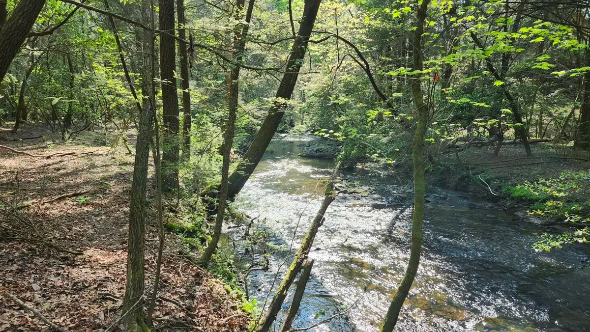 0 Old Holy Water Road #Tract 1, Tracy City, TN 37387 - Image #1