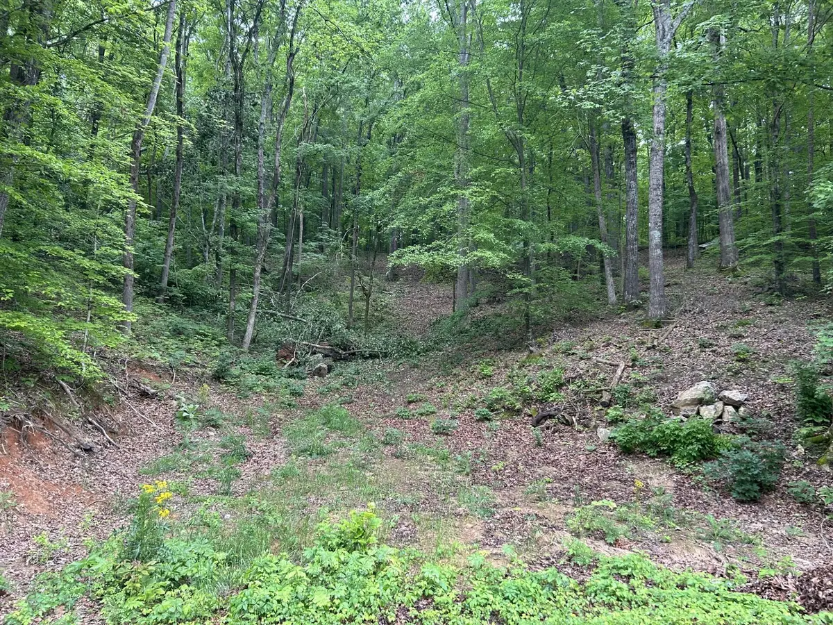 0 Candies Creek Ridge Road Nw, Cleveland, TN 37312 - Image #1