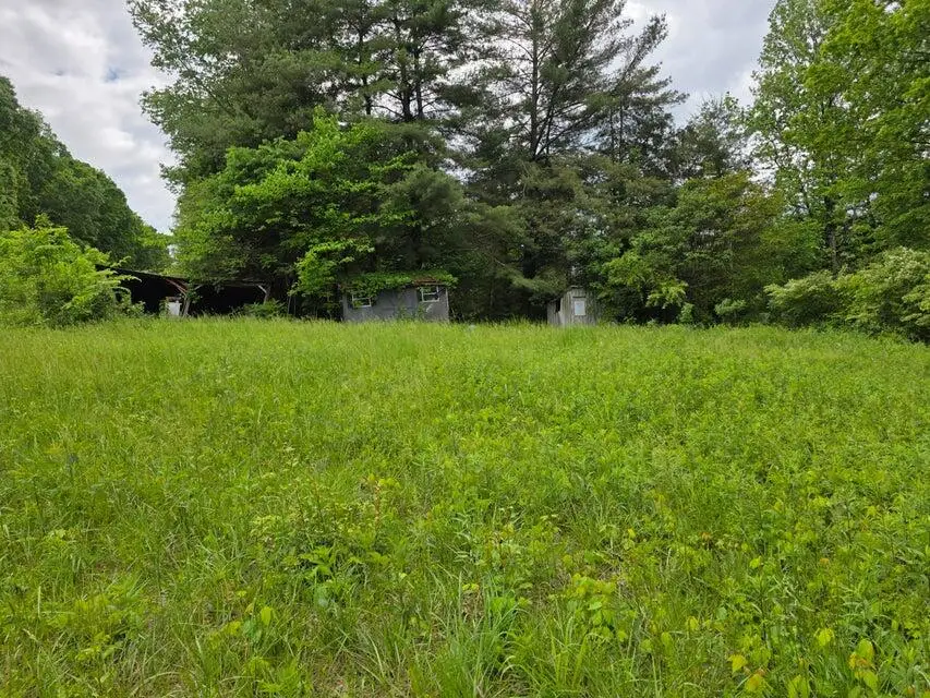 000 Highway 39 W, Athens, TN 37303 - #2