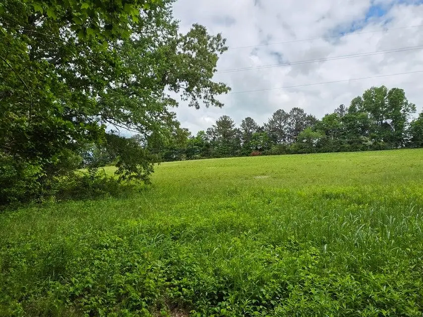 000 Highway 39 W, Athens, TN 37303 - #3