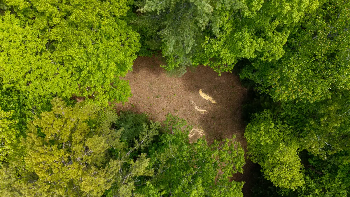 0 Towee Mountain Drive, Reliance, TN 37369 - Image #1