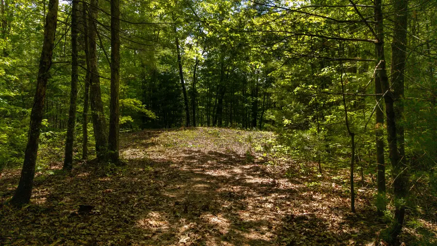 0 Towee Mountain Drive, Reliance, TN 37369 - Image #2