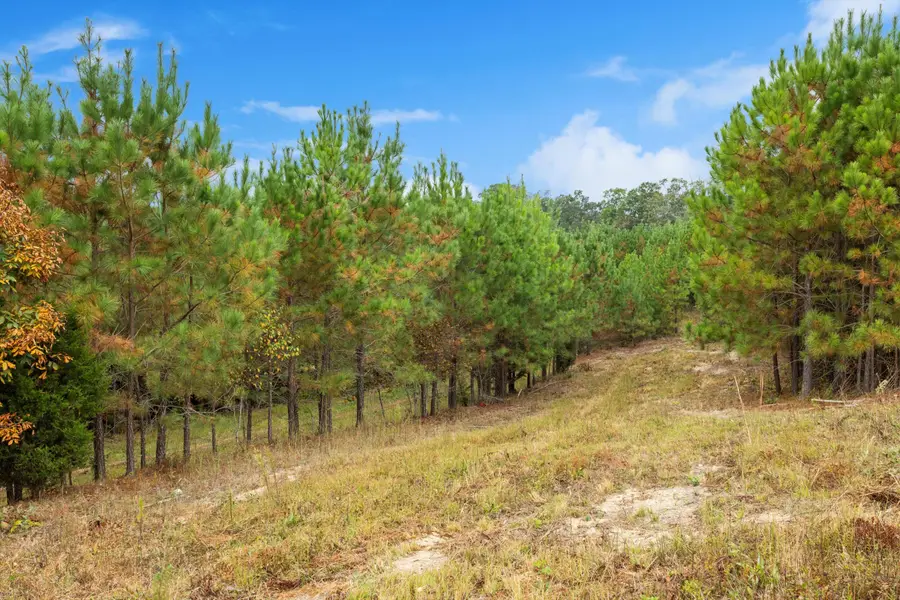 299 County Road, Sweetwater, TN 37874 - Image #3