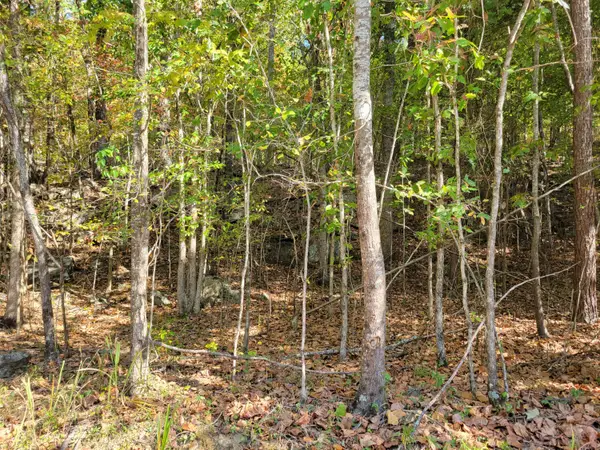 13 Raulstontown Road #13, South Pittsburg, TN 37380