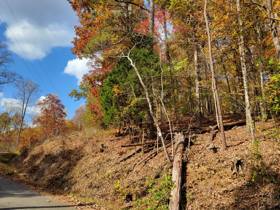 11 Raulstontown Road #11, South Pittsburg, TN 37380 - Image #2