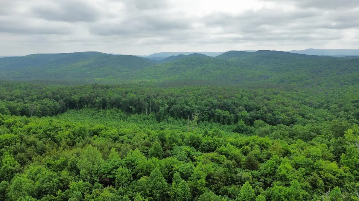 0 Hwy 151, Ringgold, GA 30736 - Image #1