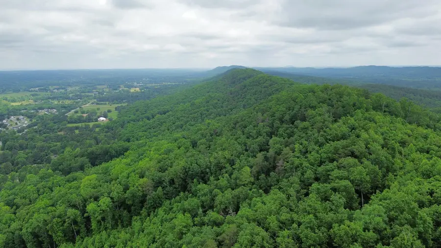 0 Hwy 151, Ringgold, GA 30736 - Image #2