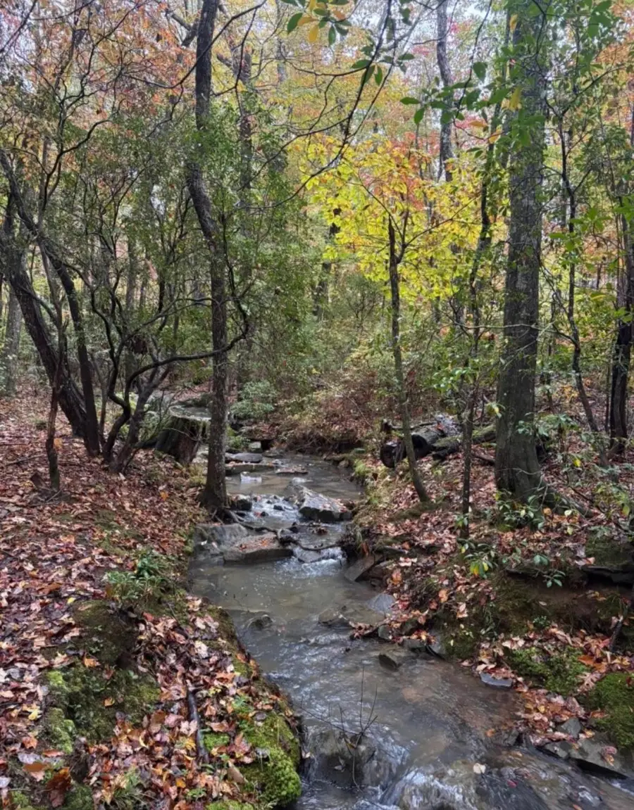 2795 Raulston Falls Road #Jf-5, Jasper, TN 37347 - Image #2