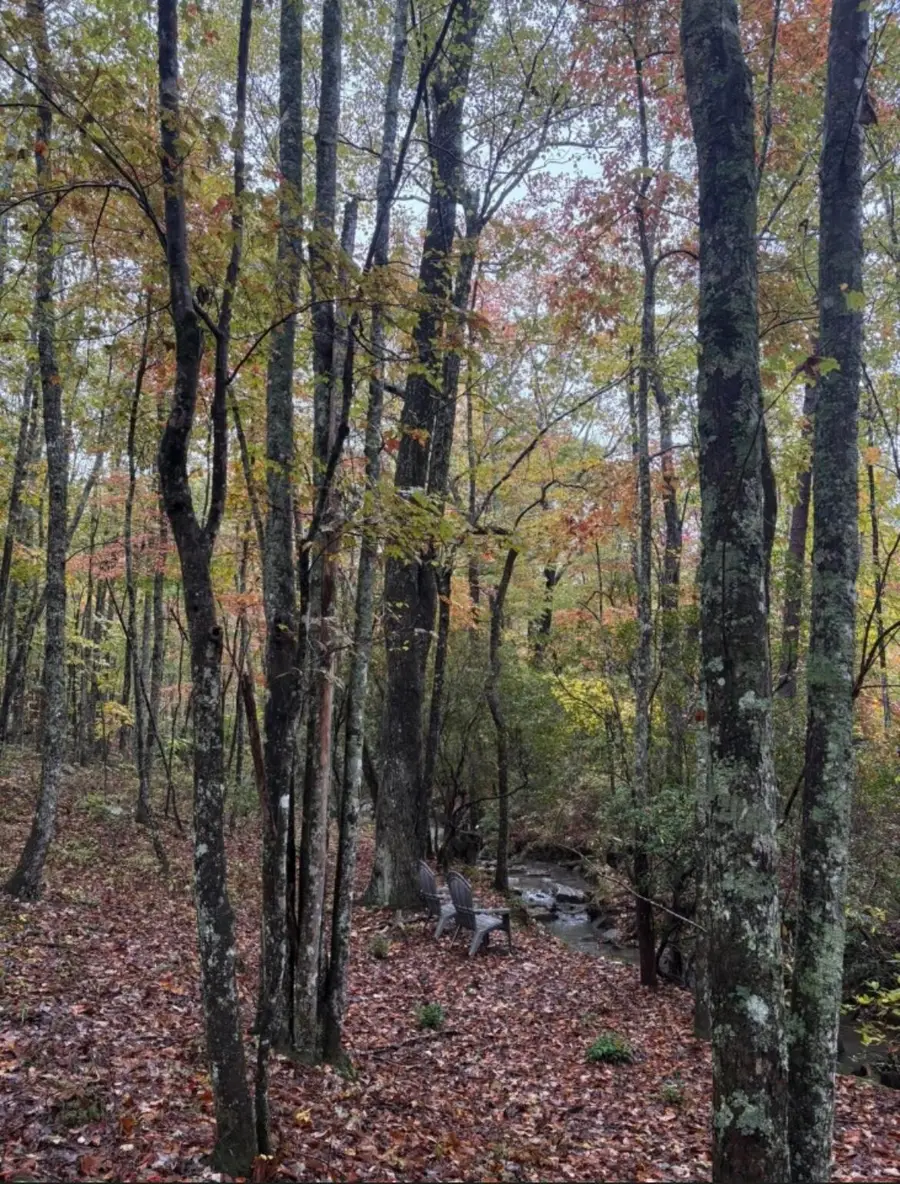 2795 Raulston Falls Road #Jf-5, Jasper, TN 37347 - Image #3