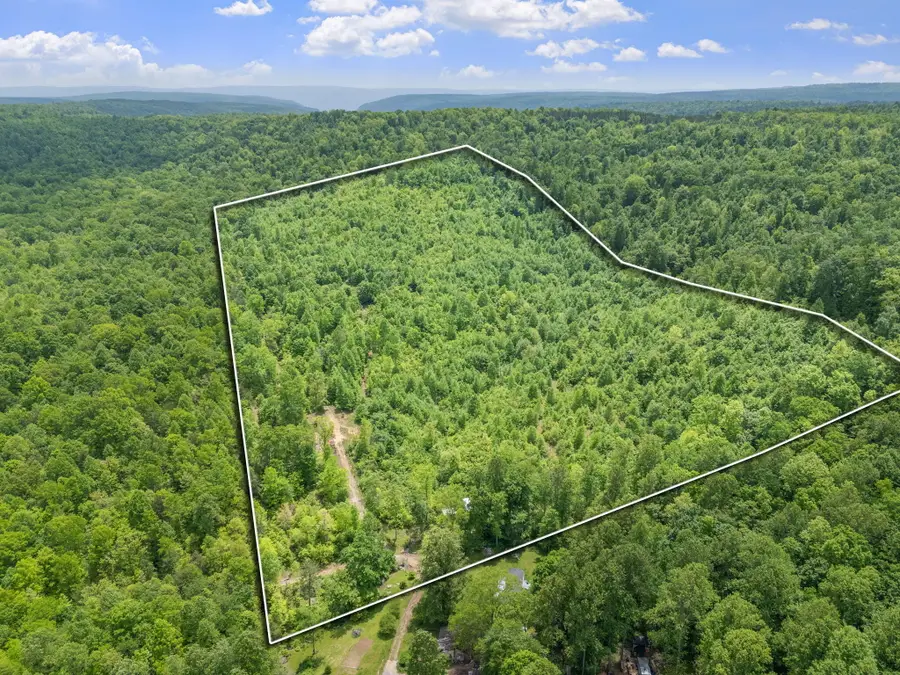 0 Rock Avenue End Of Avenue, Palmer, TN 37365 - Image #3