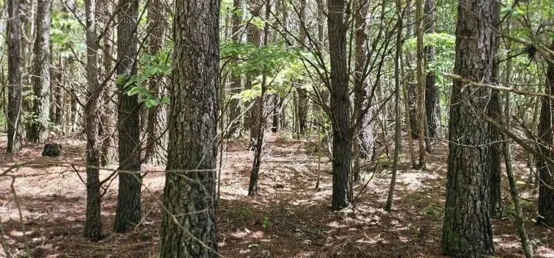 0 Sunset Rd #533, Spencer, TN 38585 - Image #2