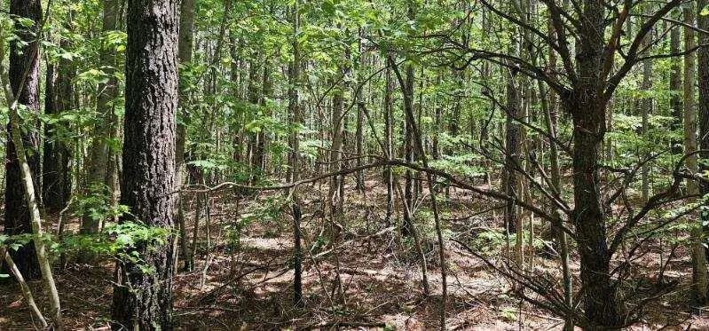 0 Sunset Rd #533, Spencer, TN 38585 - Image #3