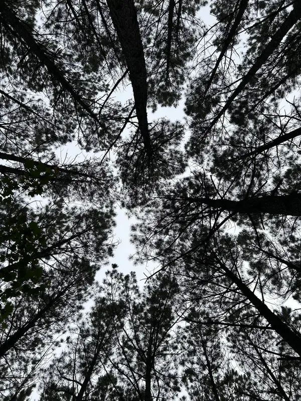 1771 Crockett Point #Jf-604, Jasper, TN 37347