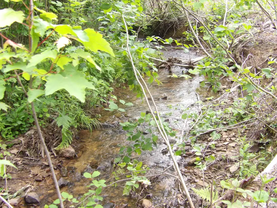 000 Overview Road, Crossville, TN 38572 - Image #2